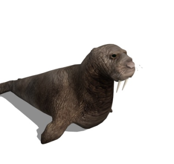 现代海狮su模型