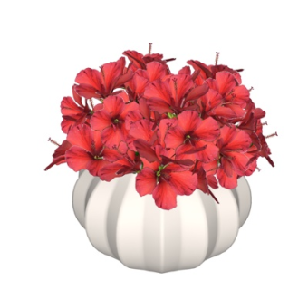 现代花瓶花卉su模型