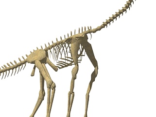 现代恐龙<em>化石</em>摆件su<em>模型</em>