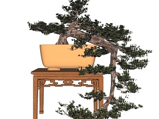 中式松树盆栽su模型