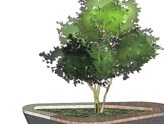 现代花坛景观树su模型