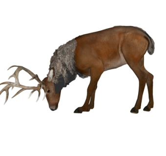 现代麋鹿su模型