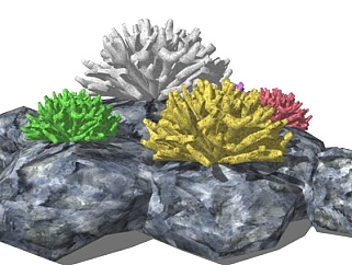 现代珊瑚su模型