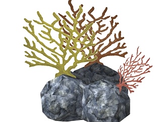 现代珊瑚su模型