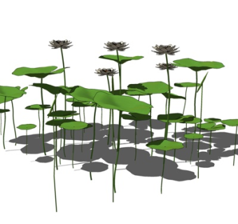 现代荷叶荷花su模型