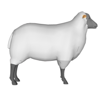 现代绵羊su模型