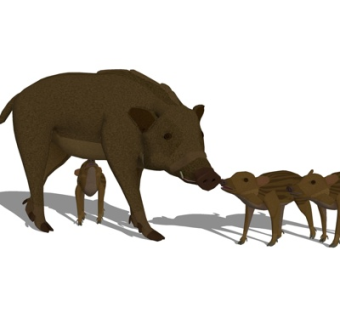 现代猪su模型