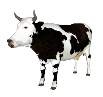 现代奶牛su模型