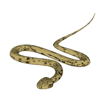 现代木雕蛇su模型