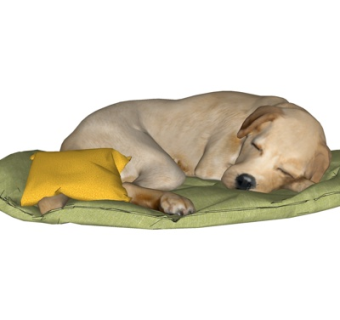 现代狗狗su模型