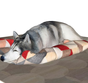 现代阿拉斯加犬su模型