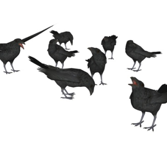 现代乌鸦su模型