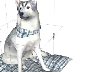 现代<em>阿拉斯加</em>雪橇犬su模型