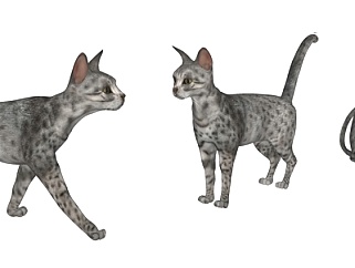 现代斑点猫su模型