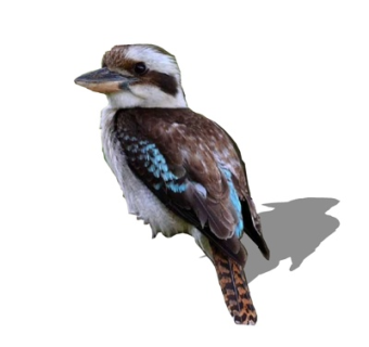 现代麻雀su模型