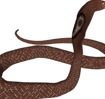 现代眼镜蛇su模型