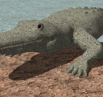 现代鳄鱼su模型