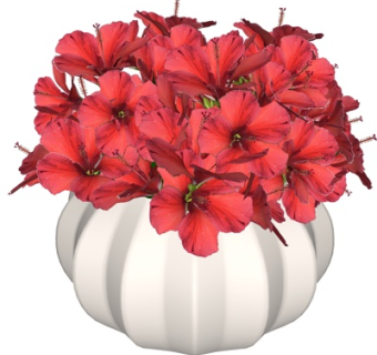 现代花瓶花卉su模型