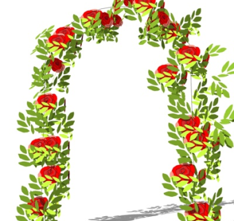 现代植物门su模型