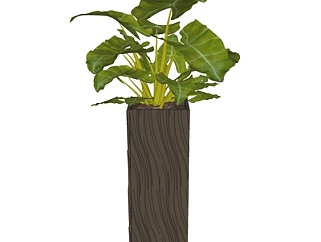 现代植物盆栽su模型