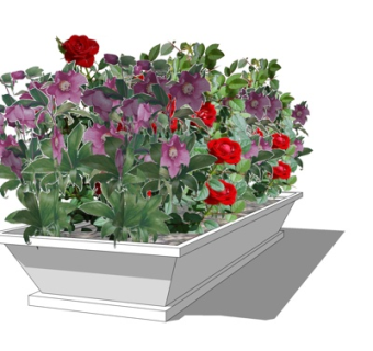 现代花坛植物su模型
