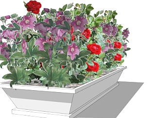 现代花坛植物su模型