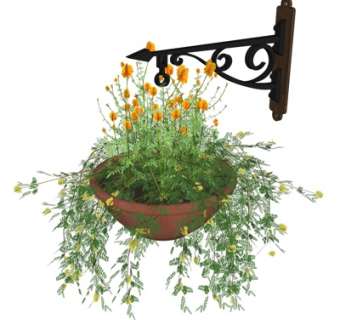 欧式植物盆栽su模型