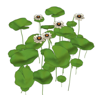 现代荷叶荷花su模型