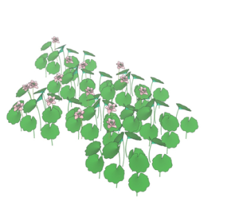 现代荷叶荷花su模型