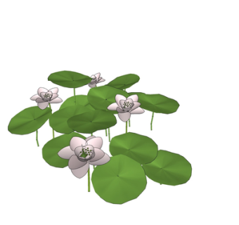 现代荷叶荷花su模型