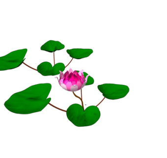 现代荷叶荷花su模型