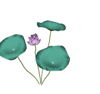 现代荷叶荷花su模型