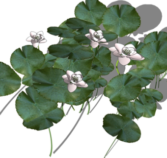 现代荷叶荷花su模型