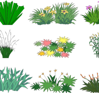 现代绿植花草su模型