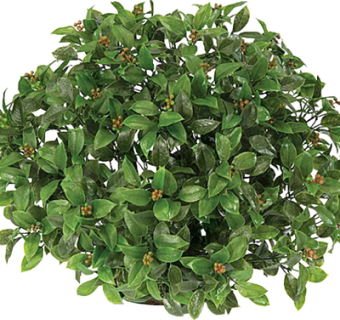 现代景观绿植su模型