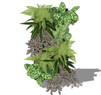 现代景观绿植su模型