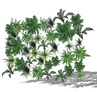 现代绿植花草su模型