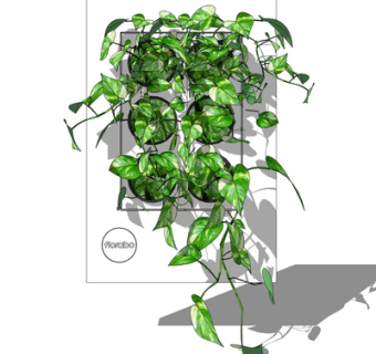 现代绿植花草su模型