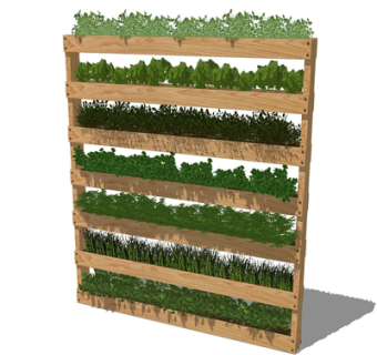 现代植物架su模型