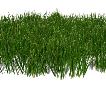 现代景观绿植su模型