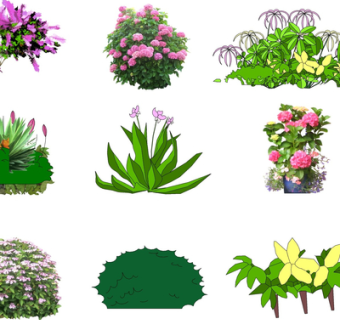 现代2d花草植物su模型