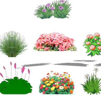 现代2d花草植物su模型