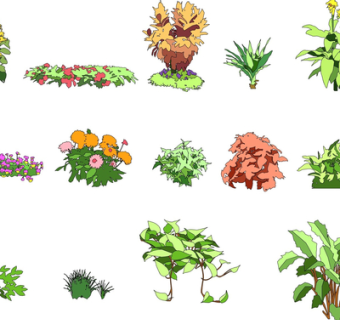 现代2d花草植物su模型