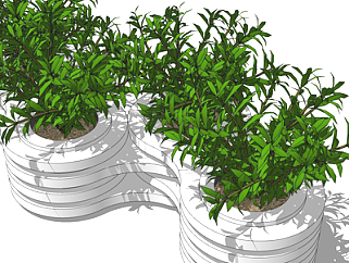 现代绿植盆栽su模型
