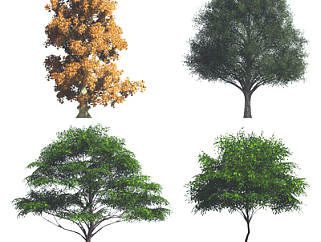 现代景观<em>树组合</em>su模型
