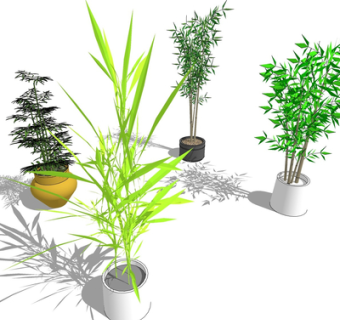 现代绿植盆栽su模型