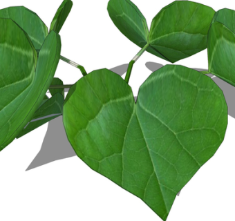 现代绿植su模型