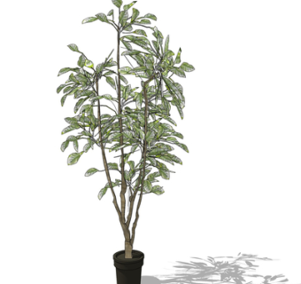 现代绿植盆栽su模型