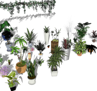 现代盆栽组合su模型