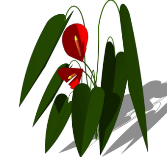 现代绿植花草su模型